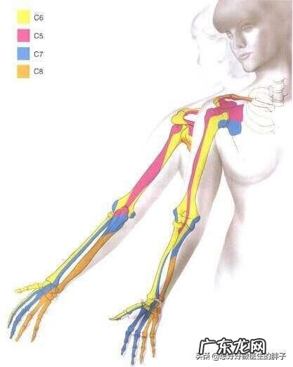 左肩胛骨疼痛是什么原因 左肩膀疼痛是什么原因引起的