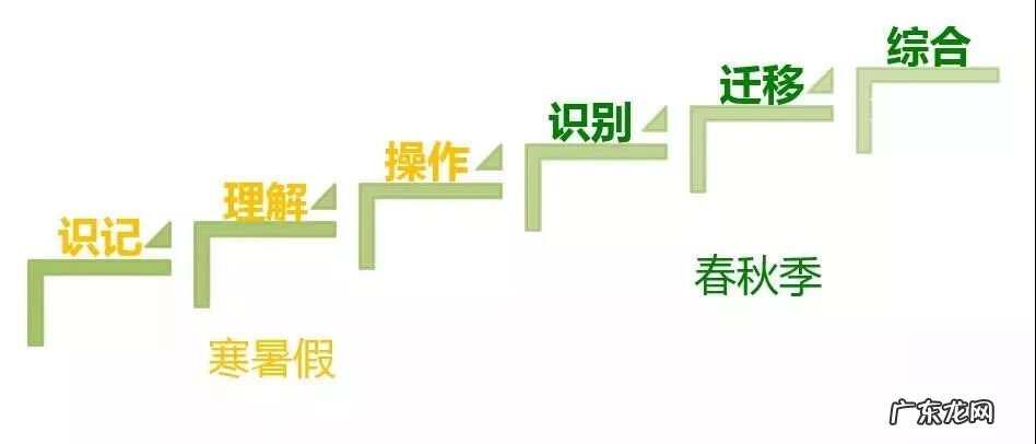 新东方暑假班课程安排 北京新东方暑假班2021