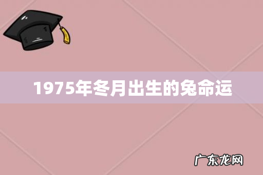 1975年冬月出生的兔命运