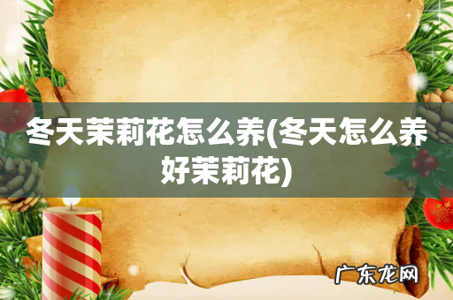 冬天怎么养好茉莉花 冬天茉莉花怎么养