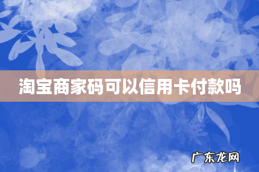 淘宝商家码可以信用卡付款吗