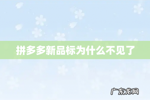 拼多多新品标为什么不见了