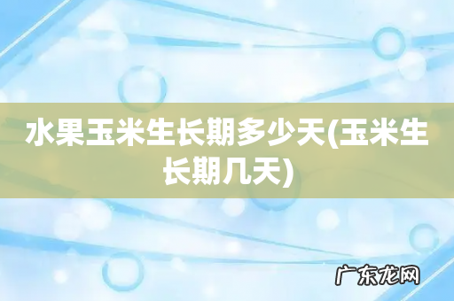 玉米生长期几天 水果玉米生长期多少天
