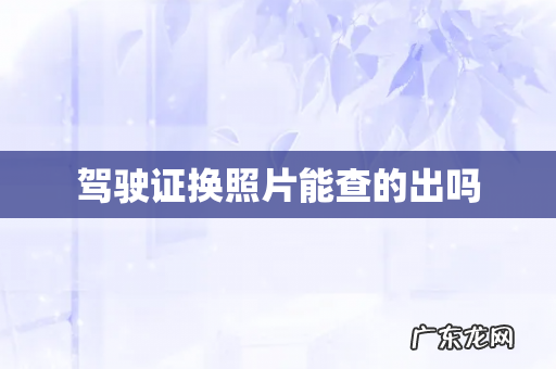 驾驶证换照片能查的出吗