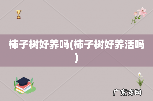 柿子树好养活吗 柿子树好养吗