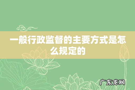 一般行政监督的主要方式是怎么规定的