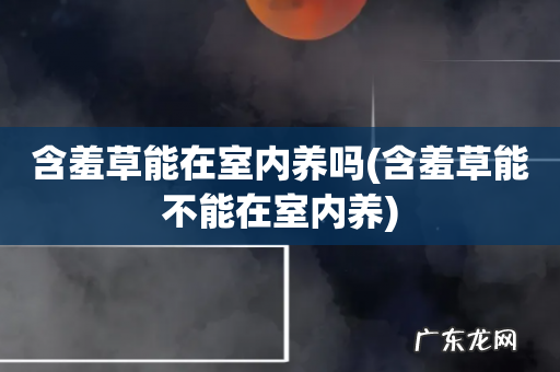 含羞草能不能在室内养 含羞草能在室内养吗