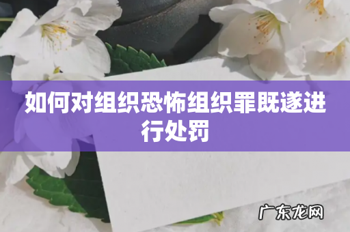 如何对组织恐怖组织罪既遂进行处罚