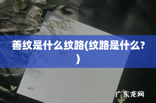 纹路是什么? 善纹是什么纹路