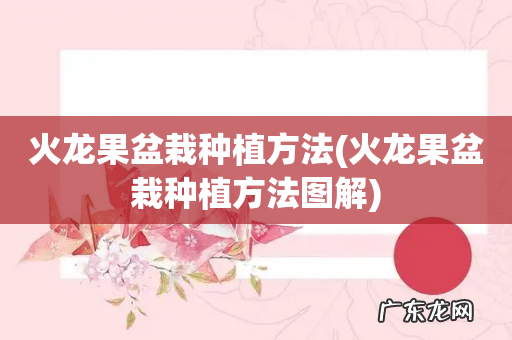 火龙果盆栽种植方法图解 火龙果盆栽种植方法