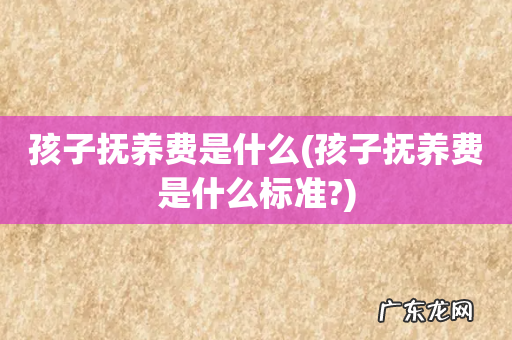 孩子抚养费是什么标准? 孩子抚养费是什么