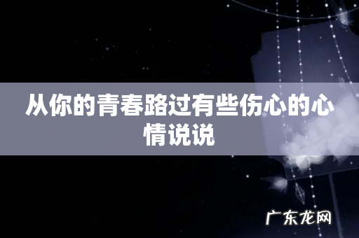 从你的青春路过有些伤心的心情说说