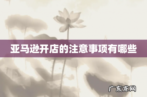 亚马逊开店的注意事项有哪些