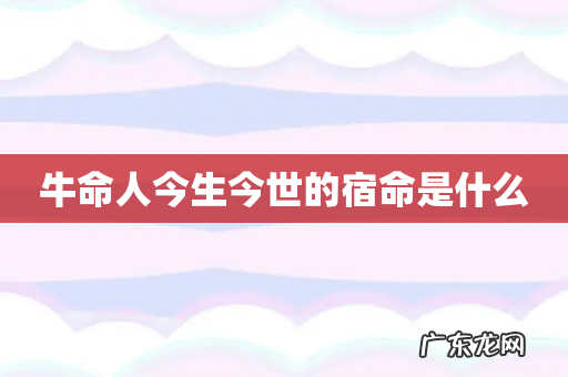 牛命人今生今世的宿命是什么