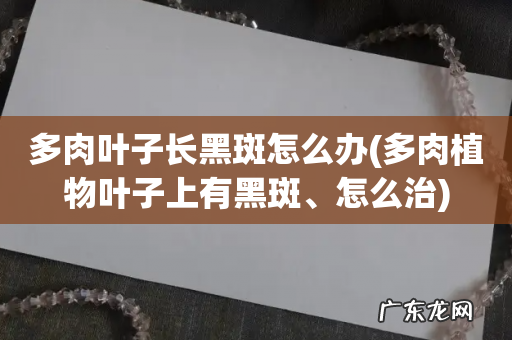 多肉植物叶子上有黑斑、怎么治 多肉叶子长黑斑怎么办