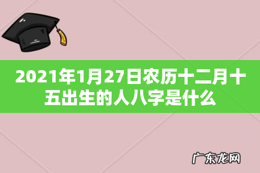 2021年1月27日农历十二月十五出生的人八字是什么