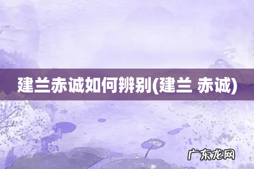 建兰 赤诚 建兰赤诚如何辨别