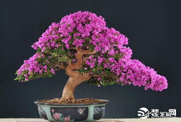 玄关柜上摆放什么东西风水好 进门玄关柜摆件风水