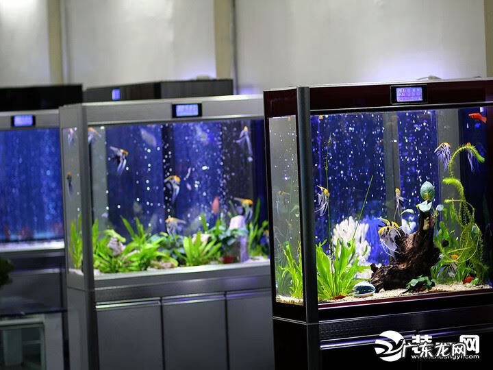 玄关柜上摆放什么东西风水好 进门玄关柜摆件风水