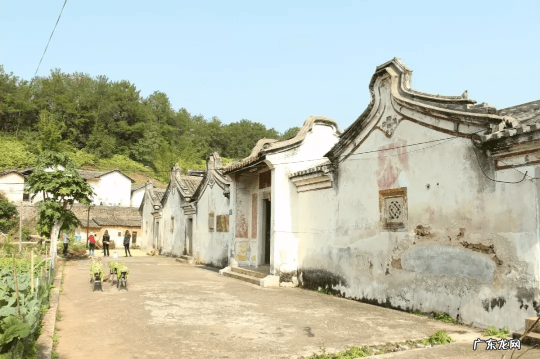 牛角的风水 牛角 风水