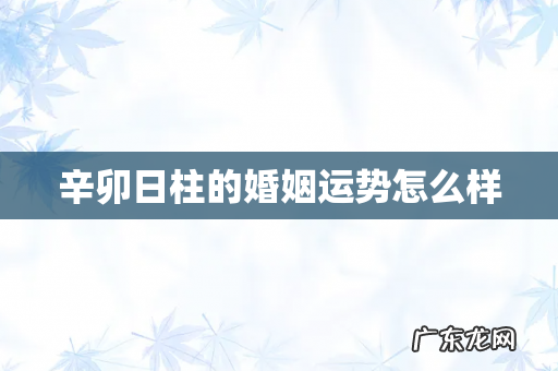 辛卯日柱的婚姻运势怎么样