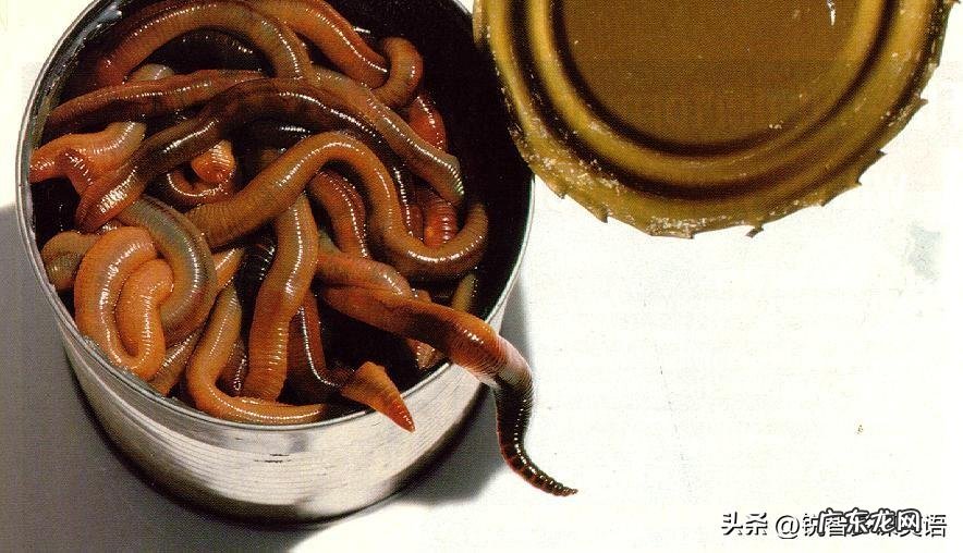 非常可爱用英语怎么说 可爱用英语怎么说写