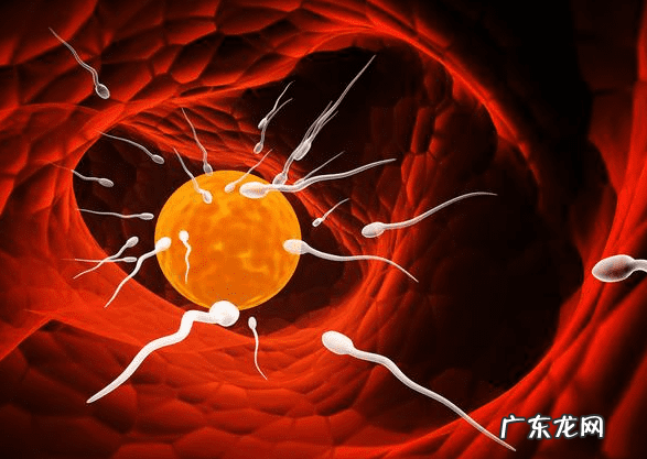 怎样知道精子着床了 着床的感觉