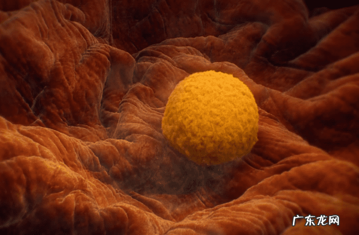 怎样知道精子着床了 着床的感觉