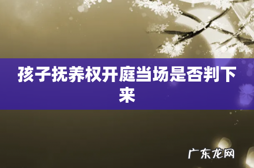 孩子抚养权开庭当场是否判下来