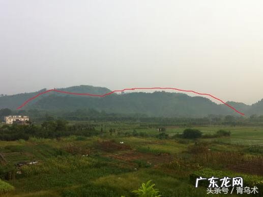 风水龙形图好吗 风水龙虎砂图解