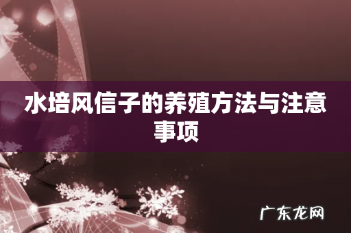 水培风信子的养殖方法与注意事项