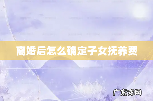 离婚后怎么确定子女抚养费