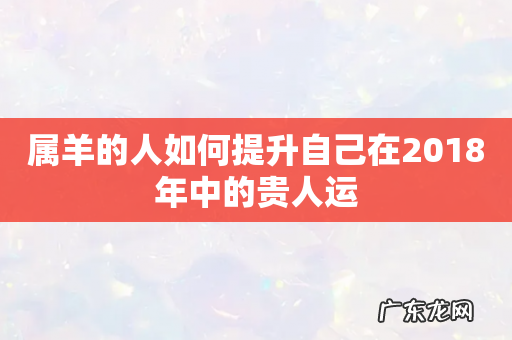 属羊的人如何提升自己在2018年中的贵人运