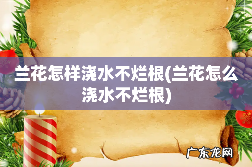兰花怎么浇水不烂根 兰花怎样浇水不烂根