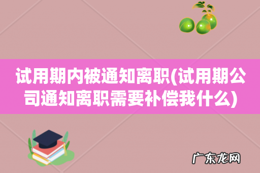 试用期公司通知离职需要补偿我什么 试用期内被通知离职