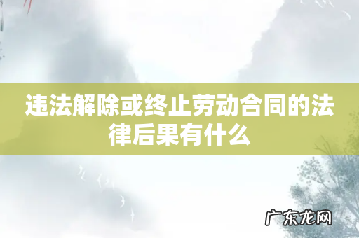 违法解除或终止劳动合同的法律后果有什么