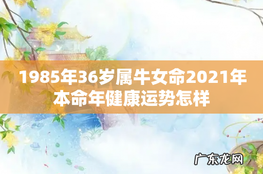 1985年36岁属牛女命2021年本命年健康运势怎样