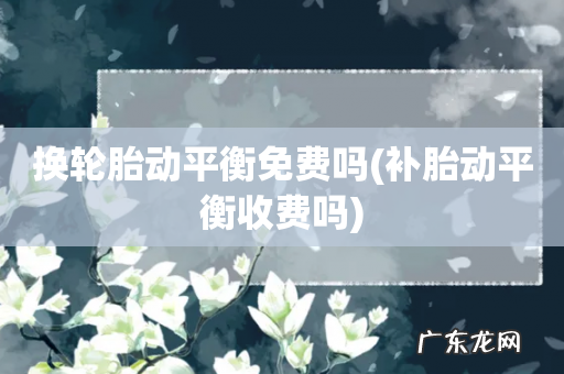 补胎动平衡收费吗 换轮胎动平衡免费吗