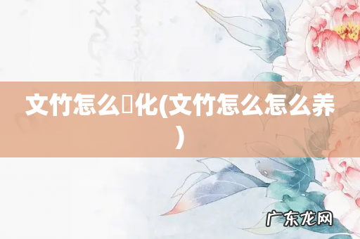 文竹怎么怎么养 文竹怎么婑化