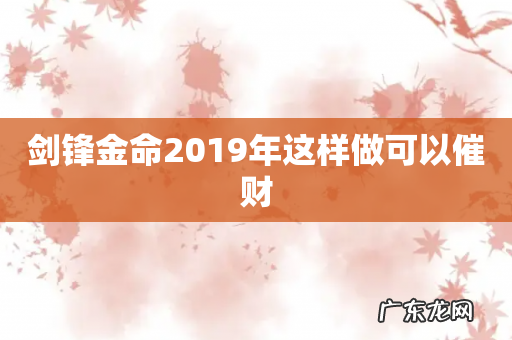 剑锋金命2019年这样做可以催财