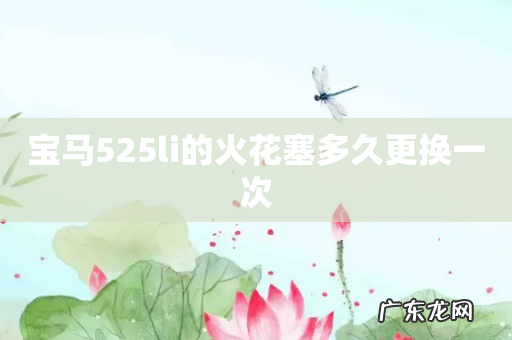 宝马525li的火花塞多久更换一次