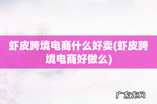 虾皮跨境电商好做么 虾皮跨境电商什么好卖