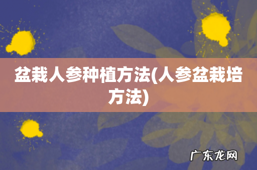 人参盆栽培方法 盆栽人参种植方法