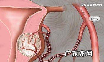 哪种避孕药最好 避孕药有哪些功效