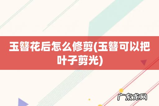 玉簪可以把叶子剪光 玉簪花后怎么修剪