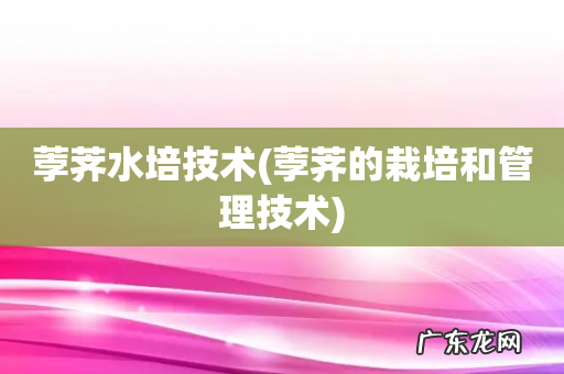 荸荠的栽培和管理技术 荸荠水培技术