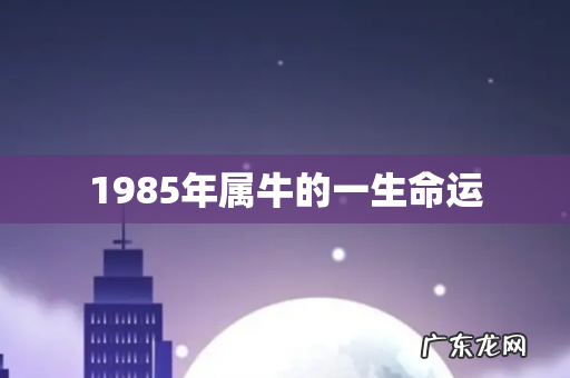 1985年属牛的一生命运