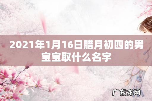 2021年1月16日腊月初四的男宝宝取什么名字