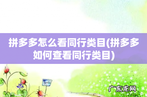 拼多多如何查看同行类目 拼多多怎么看同行类目