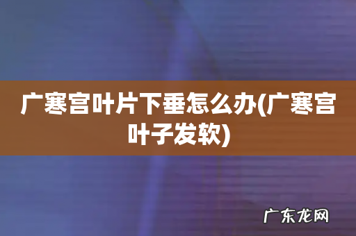 广寒宫叶子发软 广寒宫叶片下垂怎么办